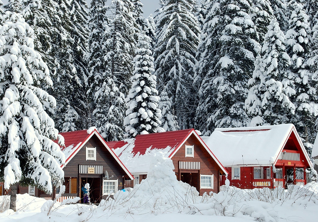 Ski Chalets, Borovets