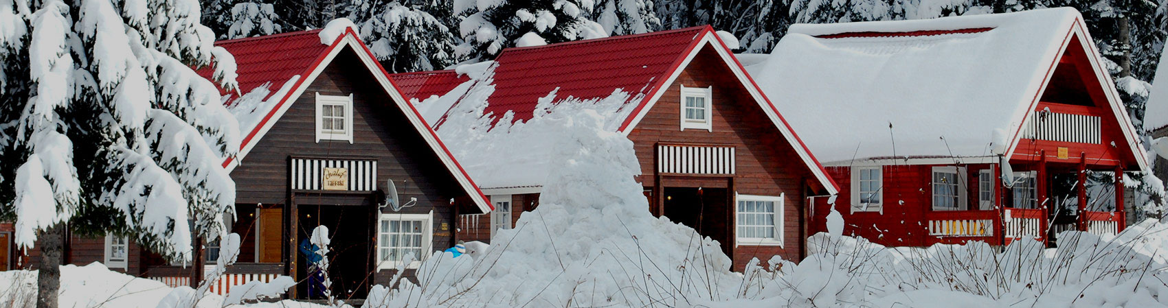 Borovets Ski chalets